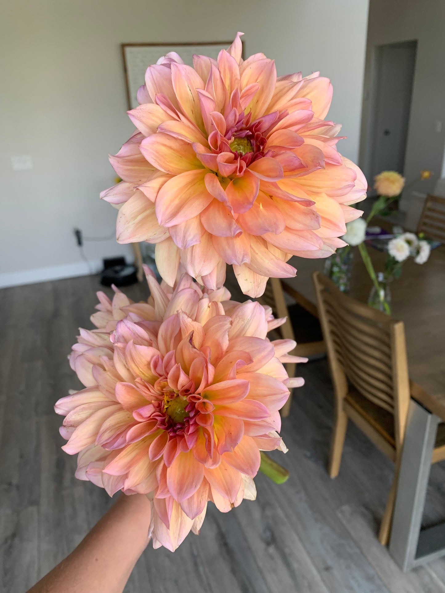 Baarn Bounty