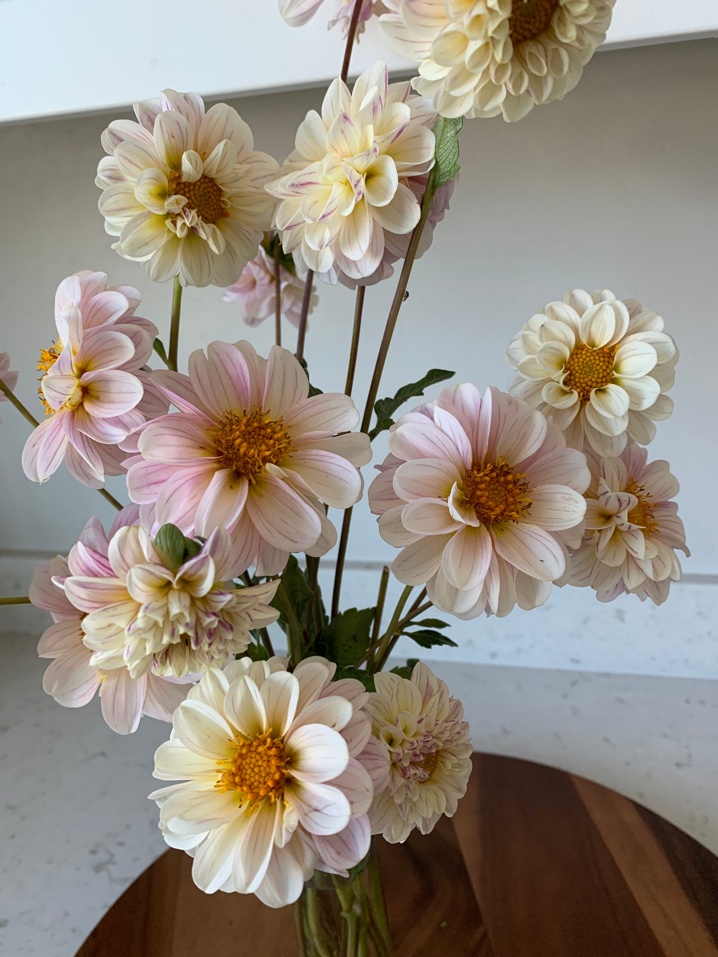 Bloomquist Wonderful