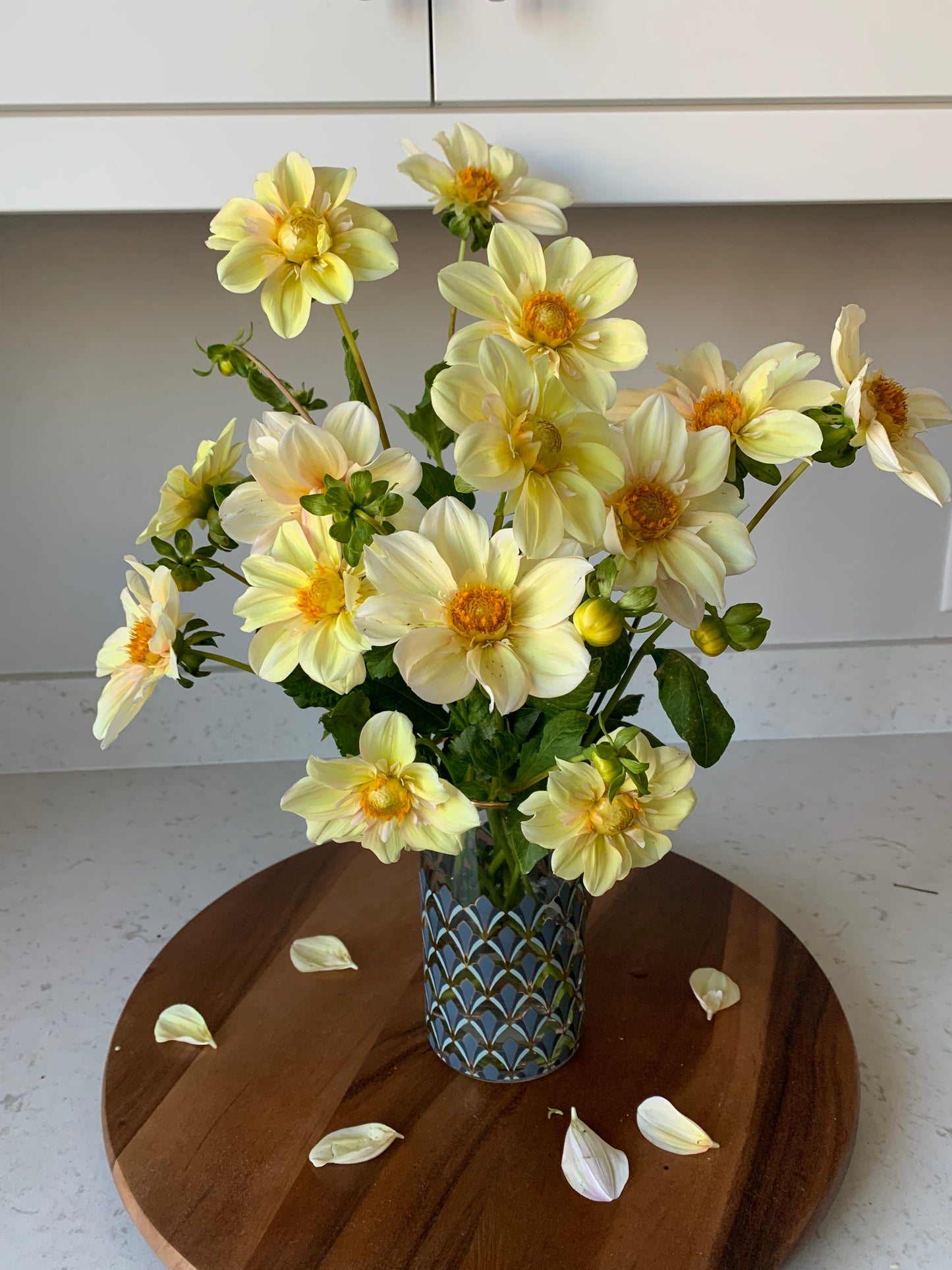 Apple Blossom