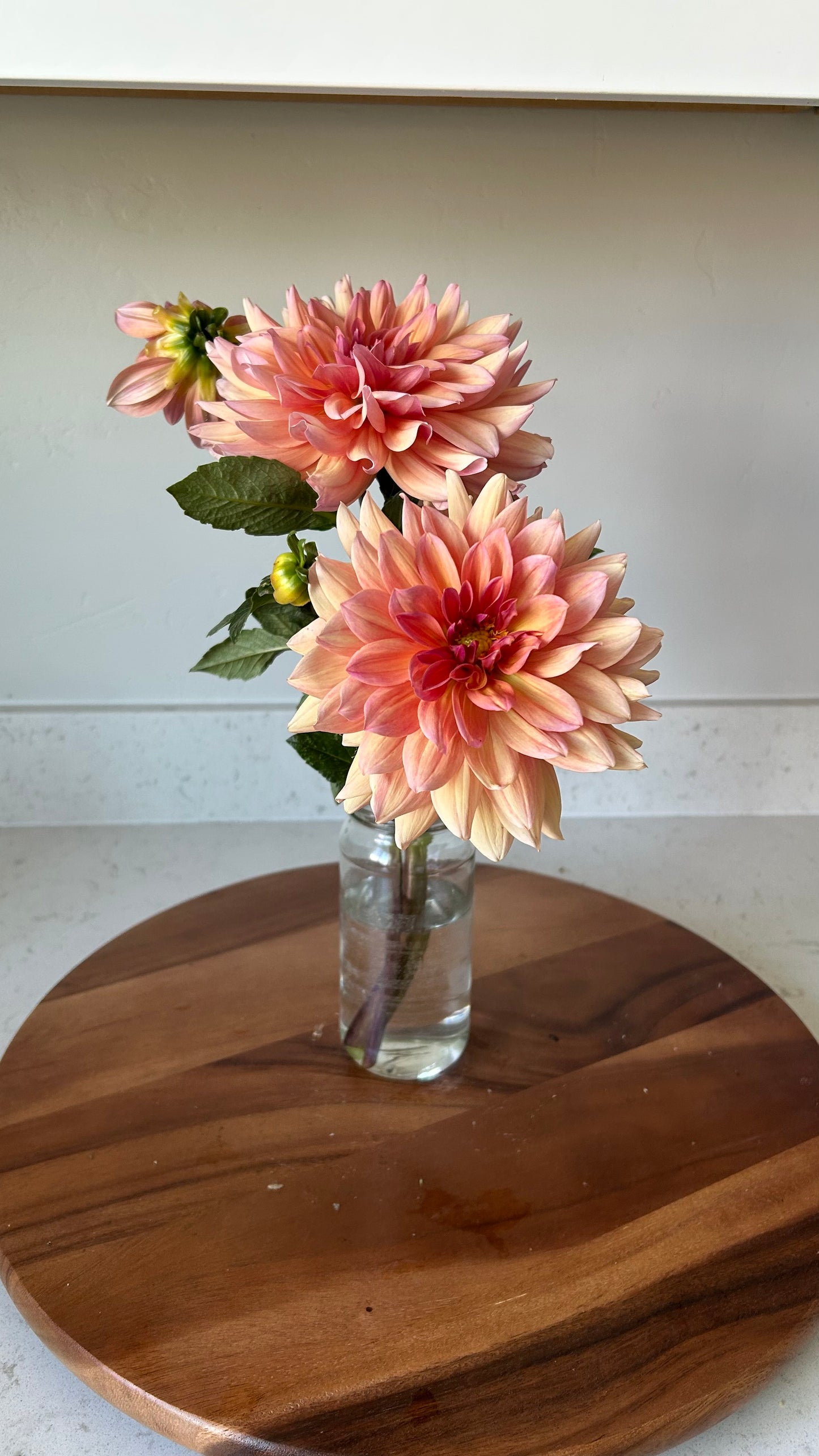 Baarn Bounty