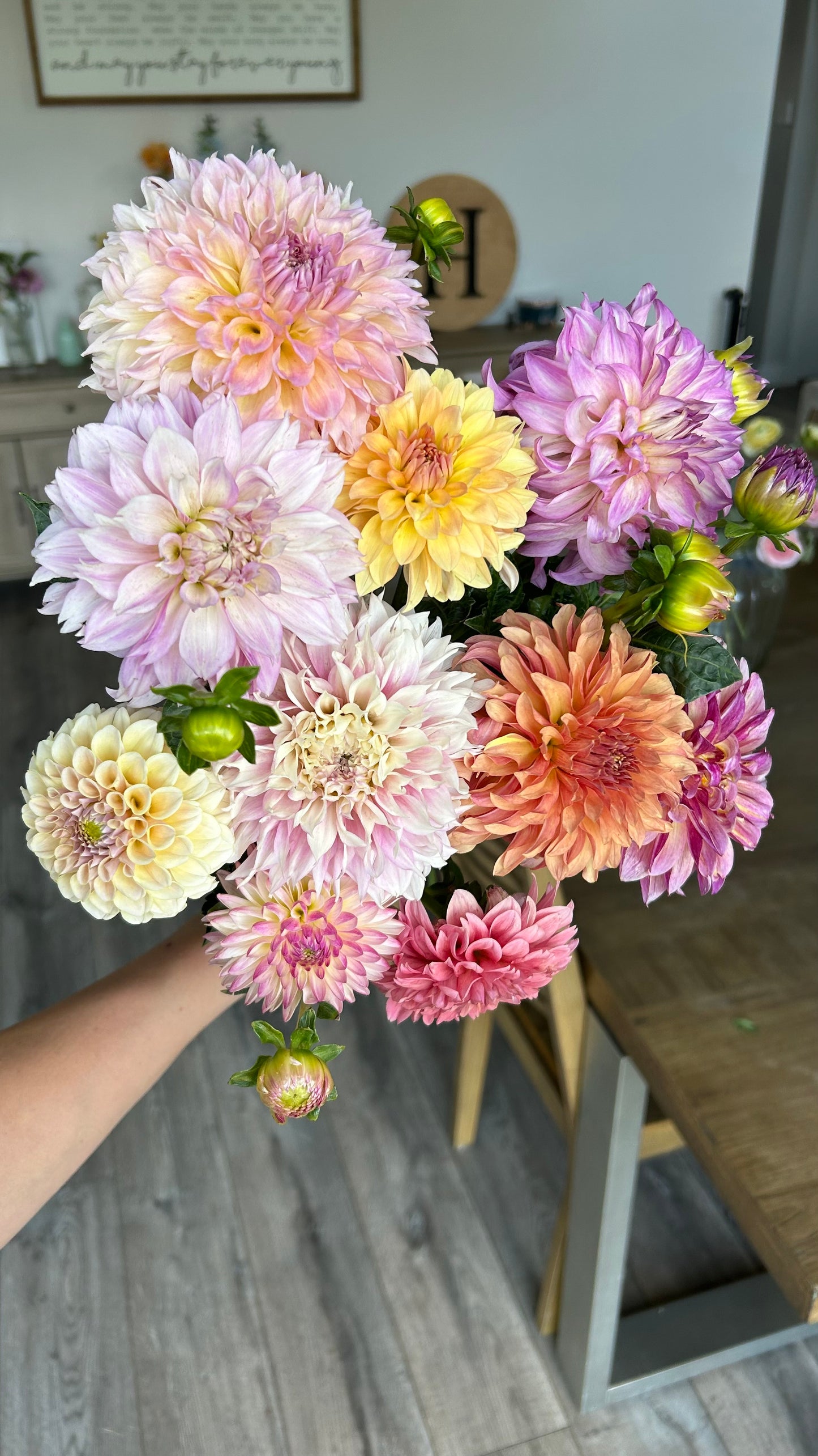 Mystery Dahlia