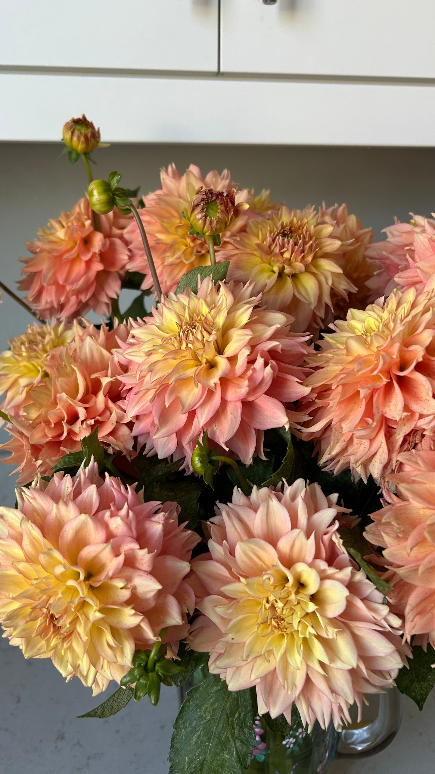 Lee’s Savannah Spring