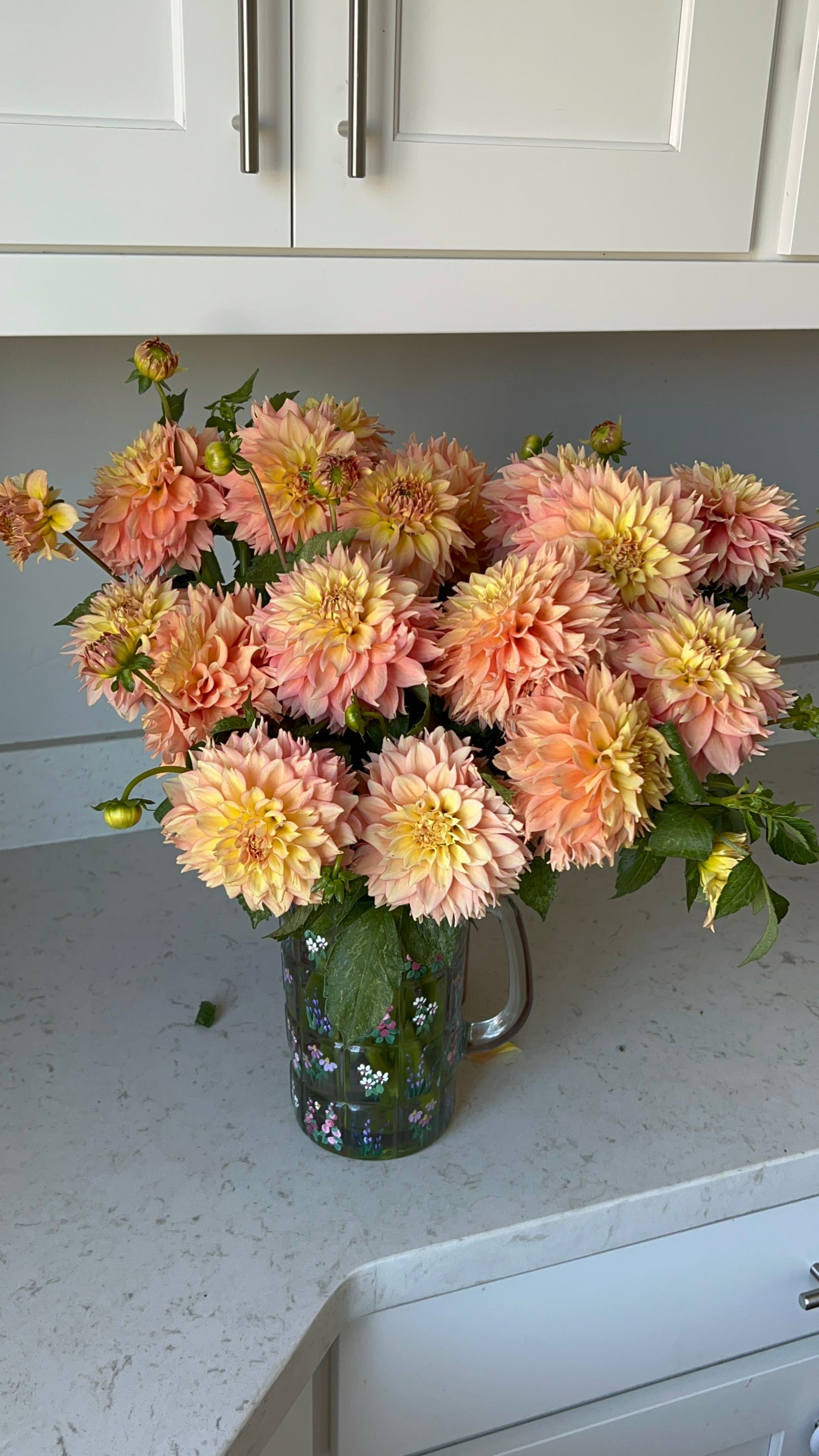 Lee’s Savannah Spring