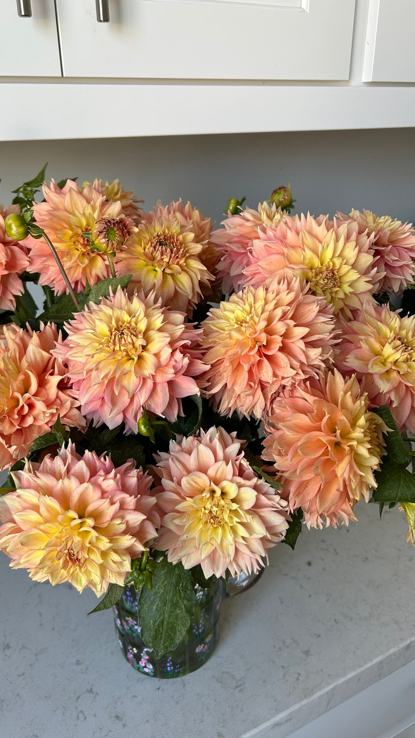 Lee’s Savannah Spring