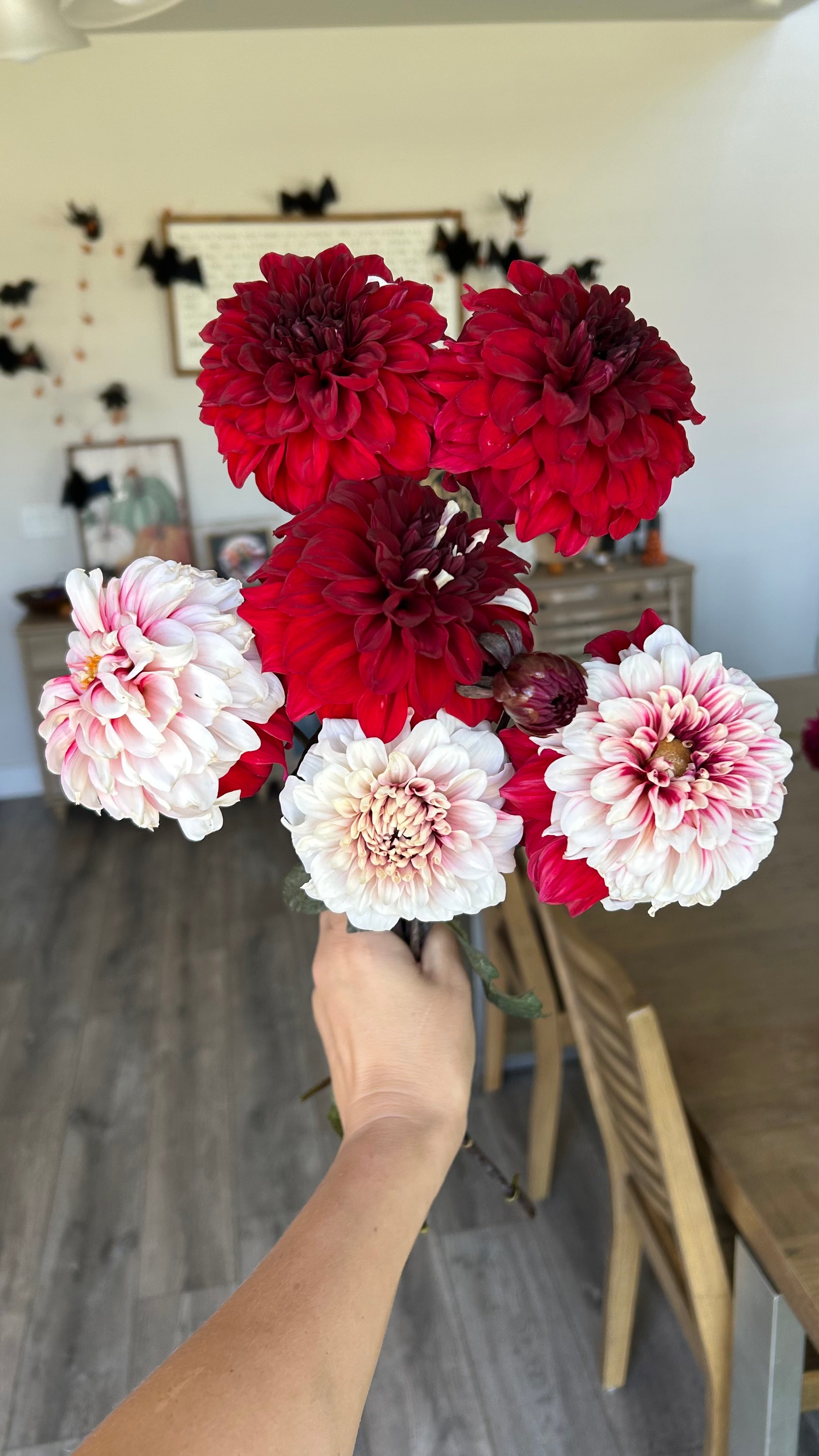 AC HWY 61 – HeathFlowerFarm