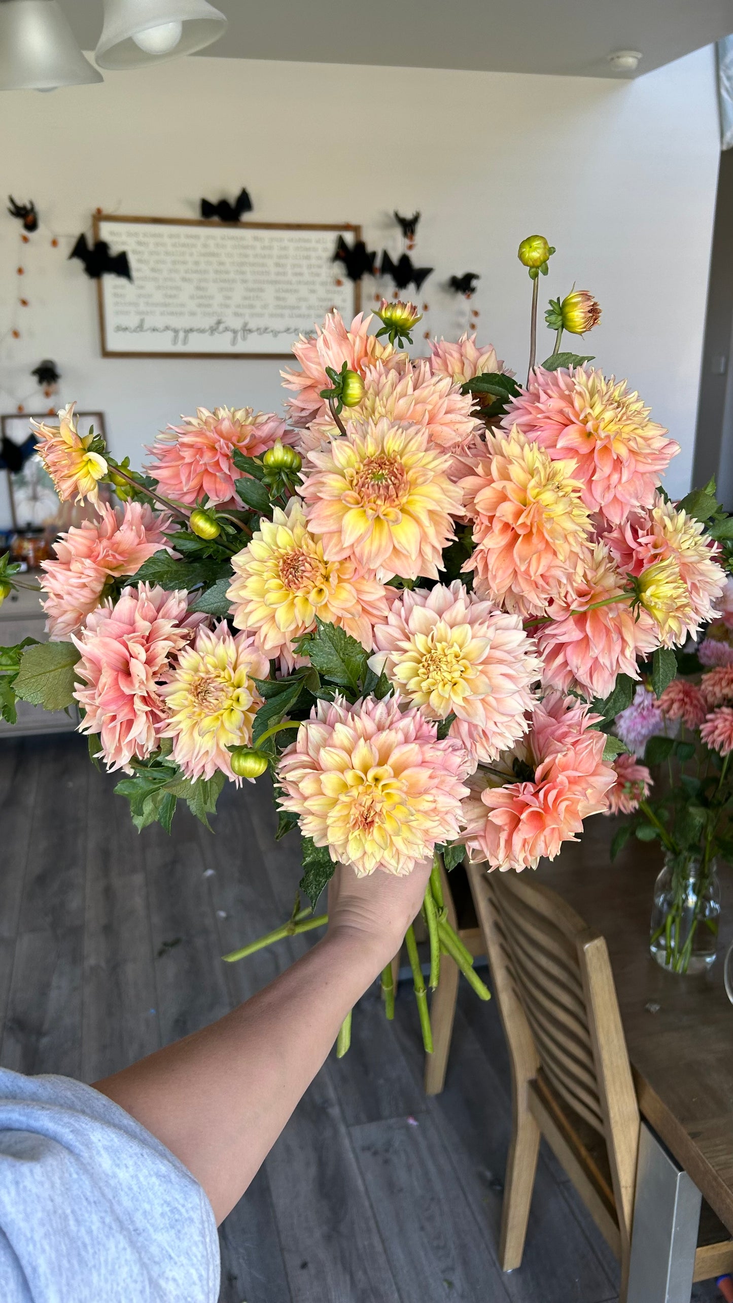 Lee’s Savannah Spring