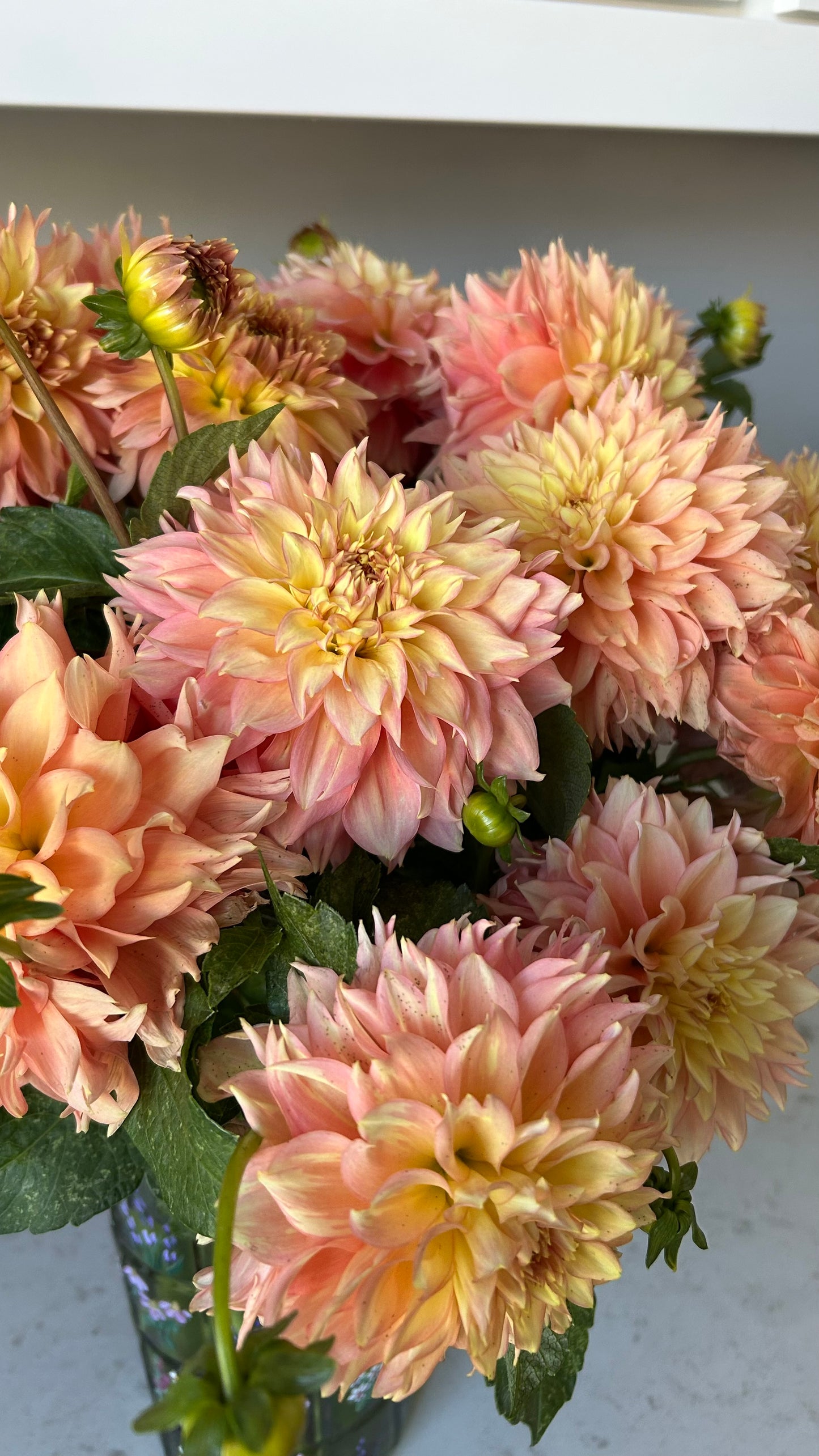 Lee’s Savannah Spring