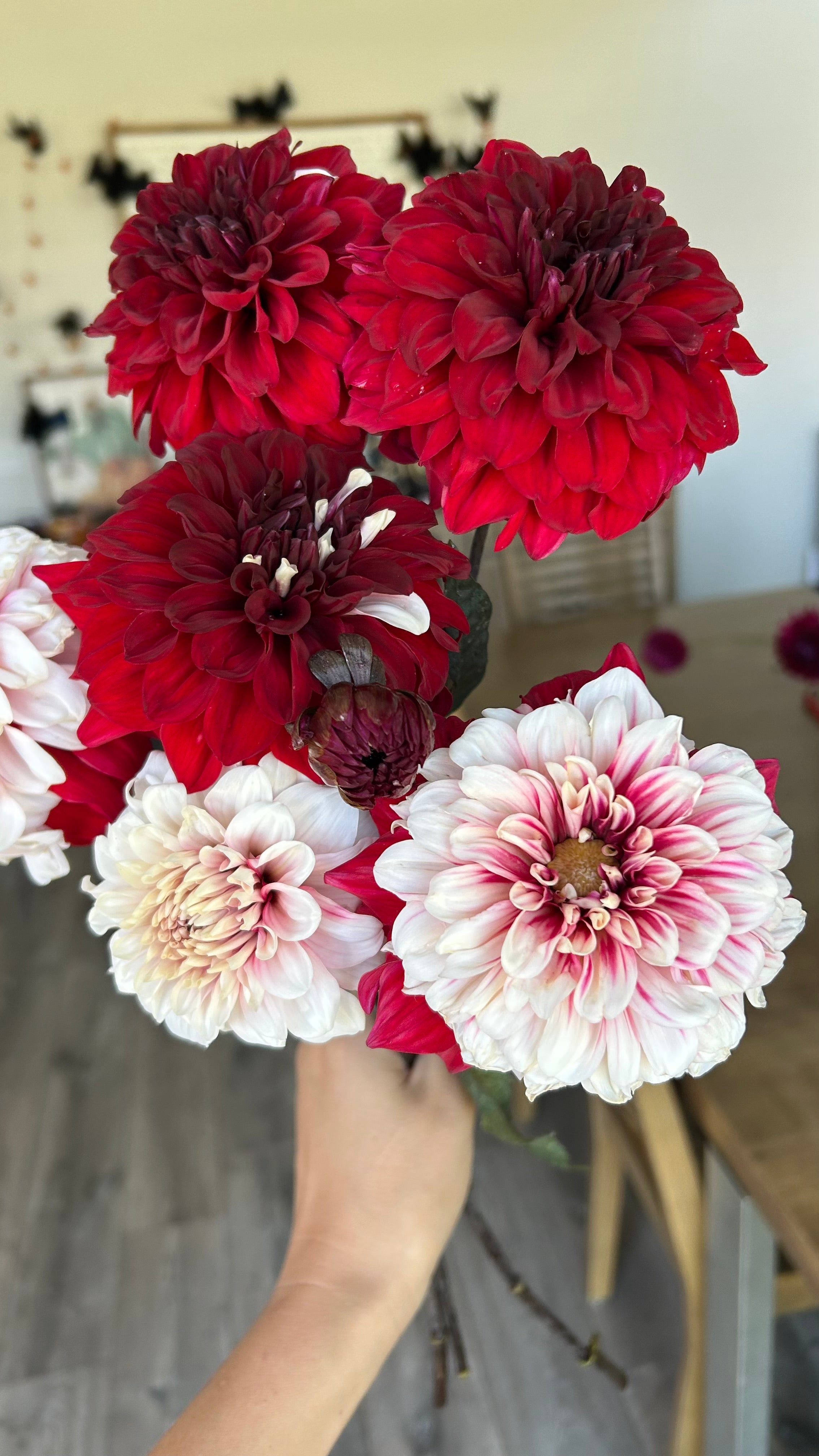 AC HWY 61 – HeathFlowerFarm